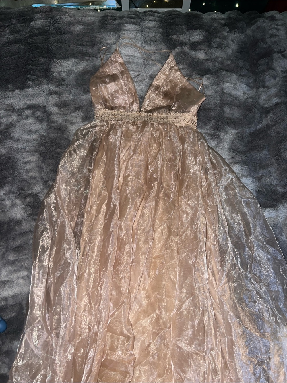 Delicate Sheer Lace Trim Gown